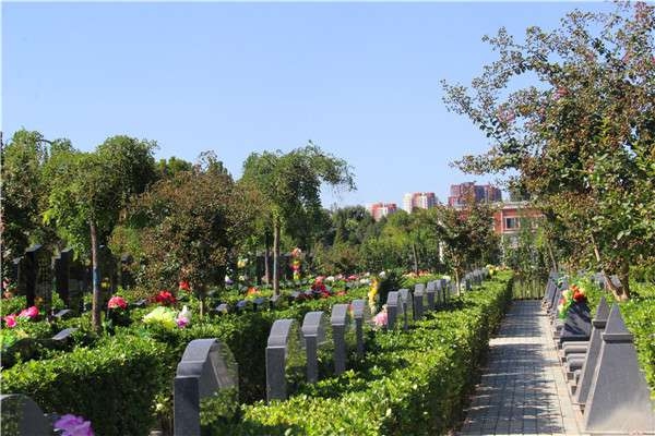 外侨公墓园区位置及设施环境详解
