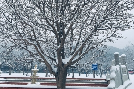 怀柔凤凰山陵园冬季