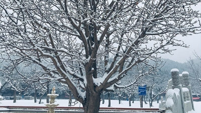 怀柔凤凰山陵园冬季