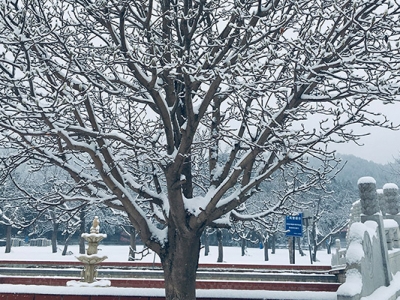 怀柔凤凰山陵园葬式选择及交通指南