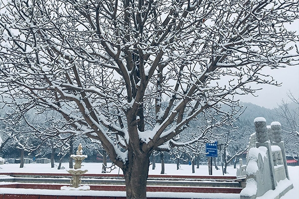 怀柔凤凰山陵园葬式选择及交通指南