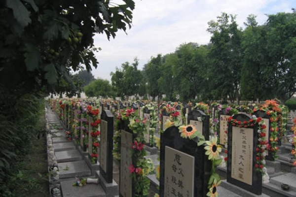 天堂公墓墓型选择指南及交通路线解析