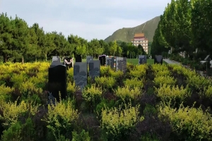 灵山宝塔艺术墓