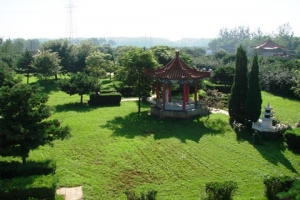 朝阳陵园草坪景色