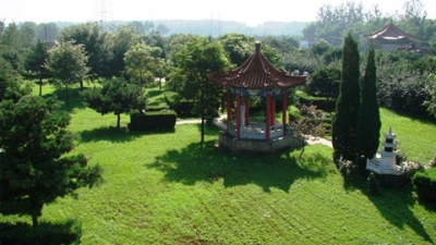 朝阳陵园草坪景色