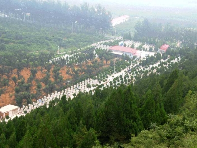 归山陵园，交通路线全攻略，景观环境一览