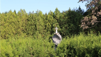 宝云岭公墓景观