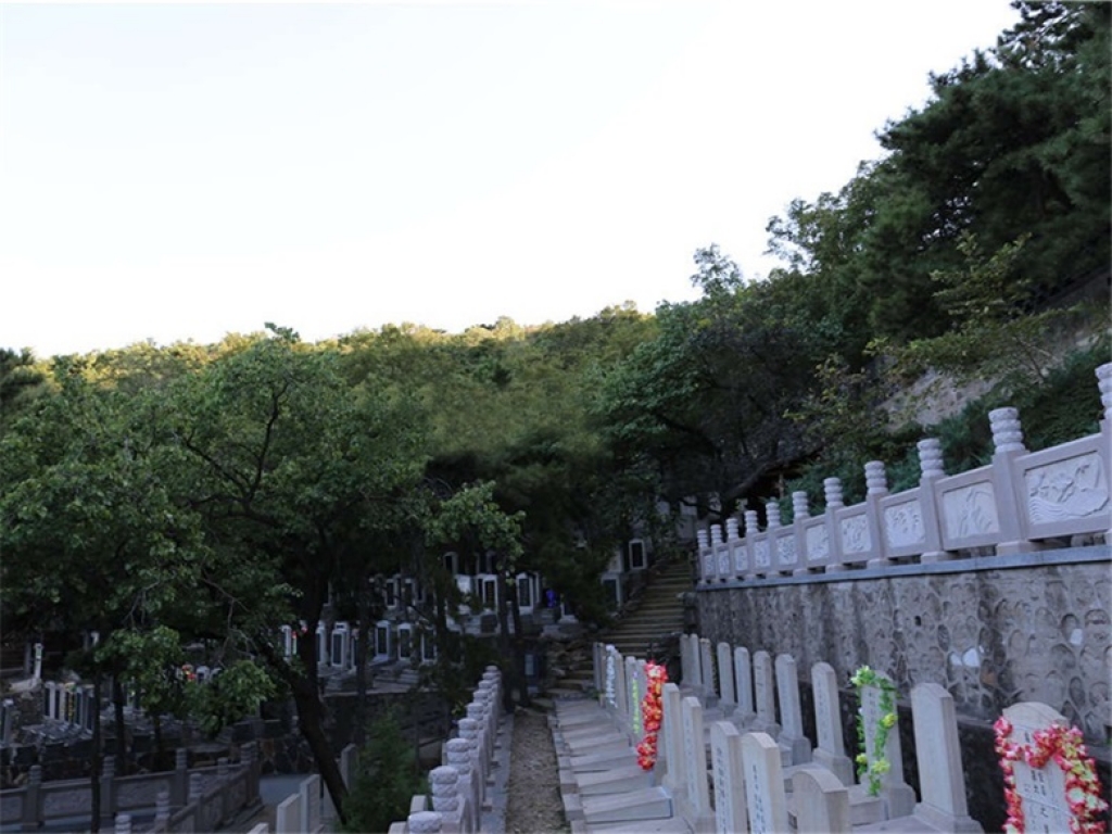 金山陵园墓区环境