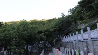 金山陵园墓区环境