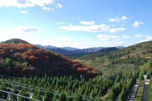 景仰园环境实拍