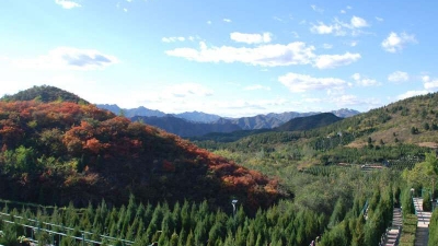 景仰园环境实拍