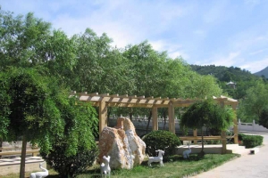 景仰园陵园：品质与价值的理想之选