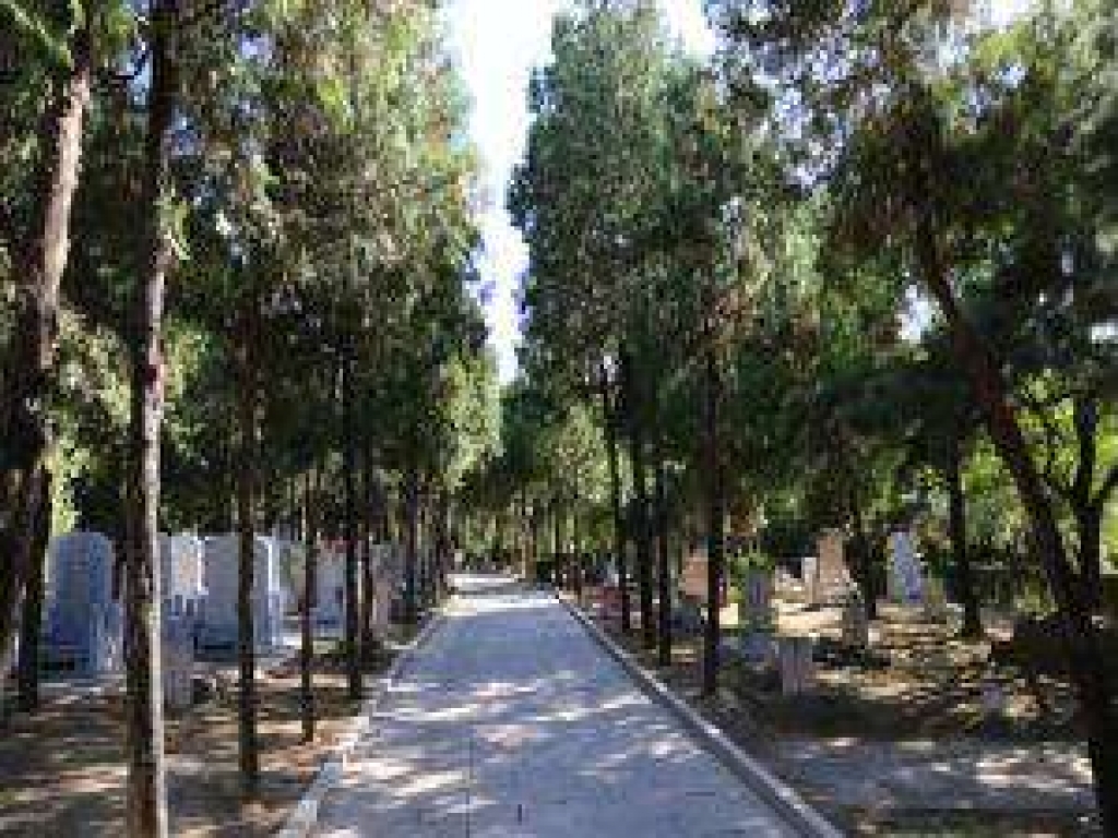 八宝山人民公墓道路