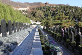 温泉墓园墓区道路