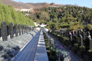 温泉墓园墓区道路