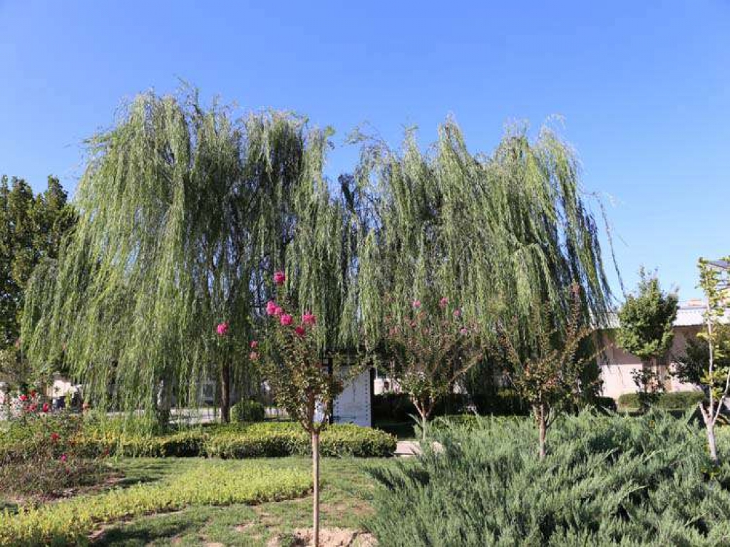 八宝山人民公墓绿化