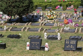 长青园骨灰林墓型