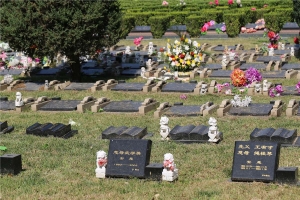 长青园骨灰林墓型