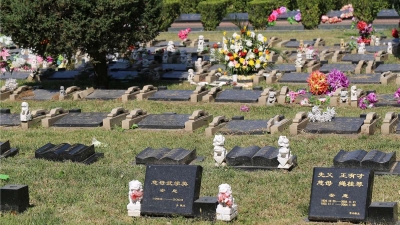 长青园骨灰林墓型