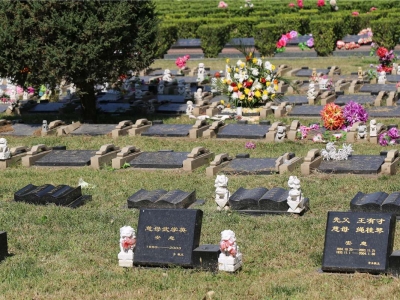 长青园骨灰林合法墓地价格及购买指南