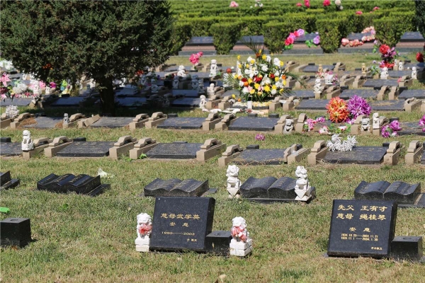 长青园骨灰林合法墓地价格及购买指南